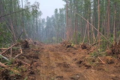 Parking Lot Land Clearing in Marietta, GA