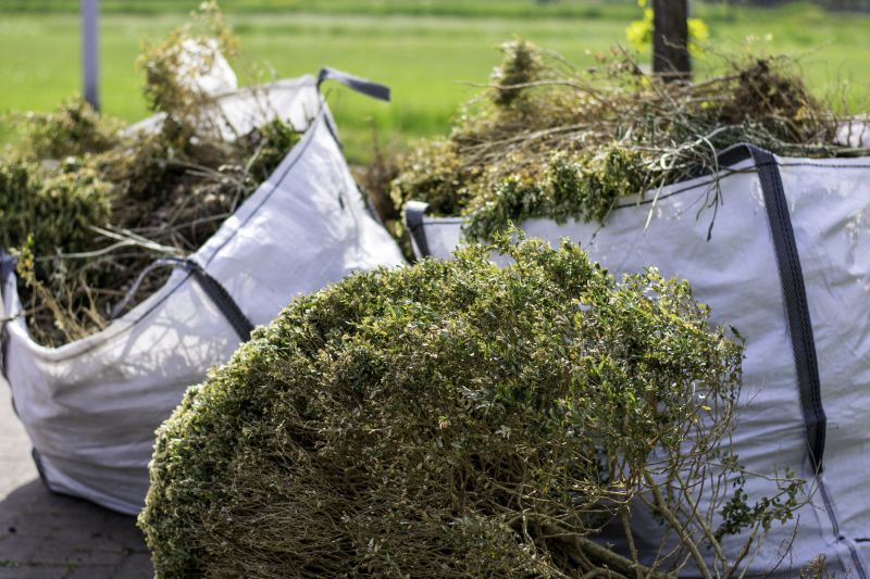 Brush Clearing Service in Atlanta, GA