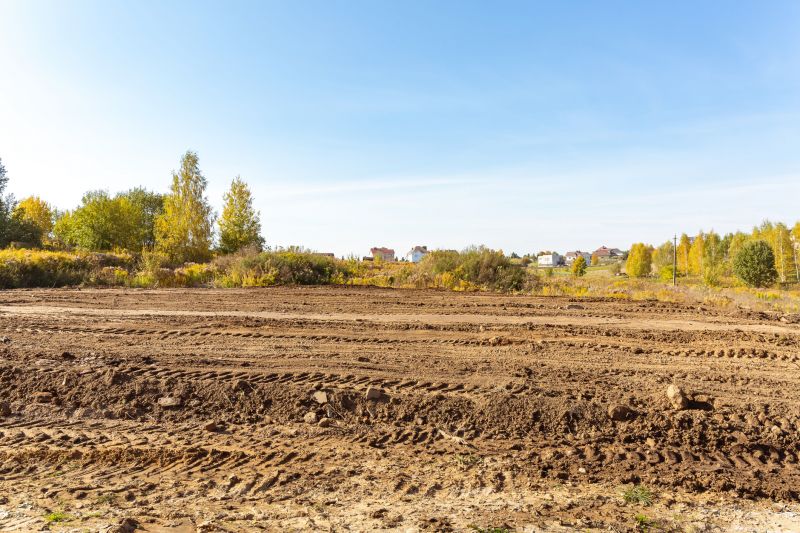 Brush Clearing Service in Utah County, UT