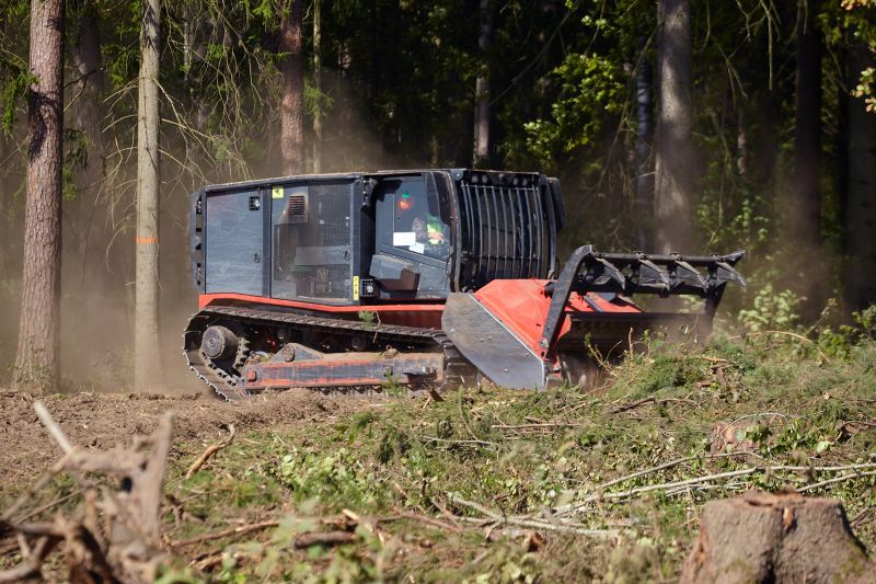 Forestry Mulching in Action
