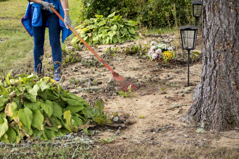 Ground Clearing in Utah County, UT