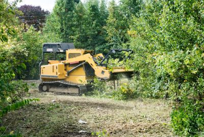 Lake Lot Clearing in Cumming, GA
