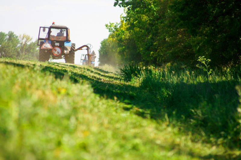 Land Preparation Service in Houston, TX
